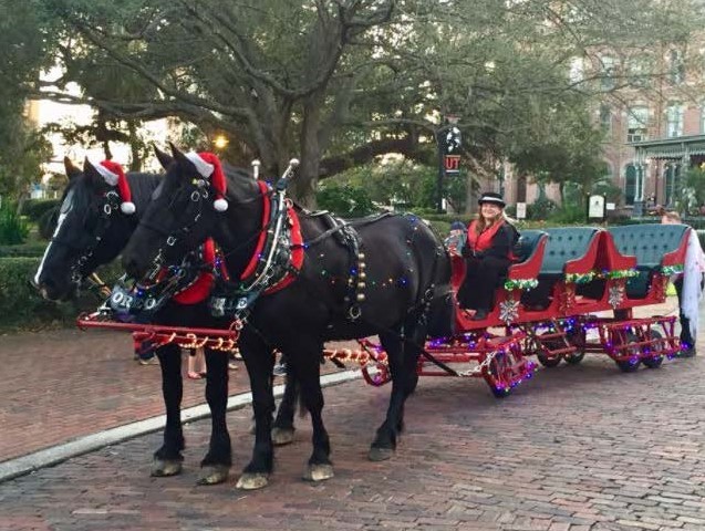 Horses and Sleigh with Holiday Decorations