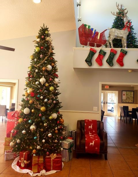 Christmas Tree in the Clubhouse