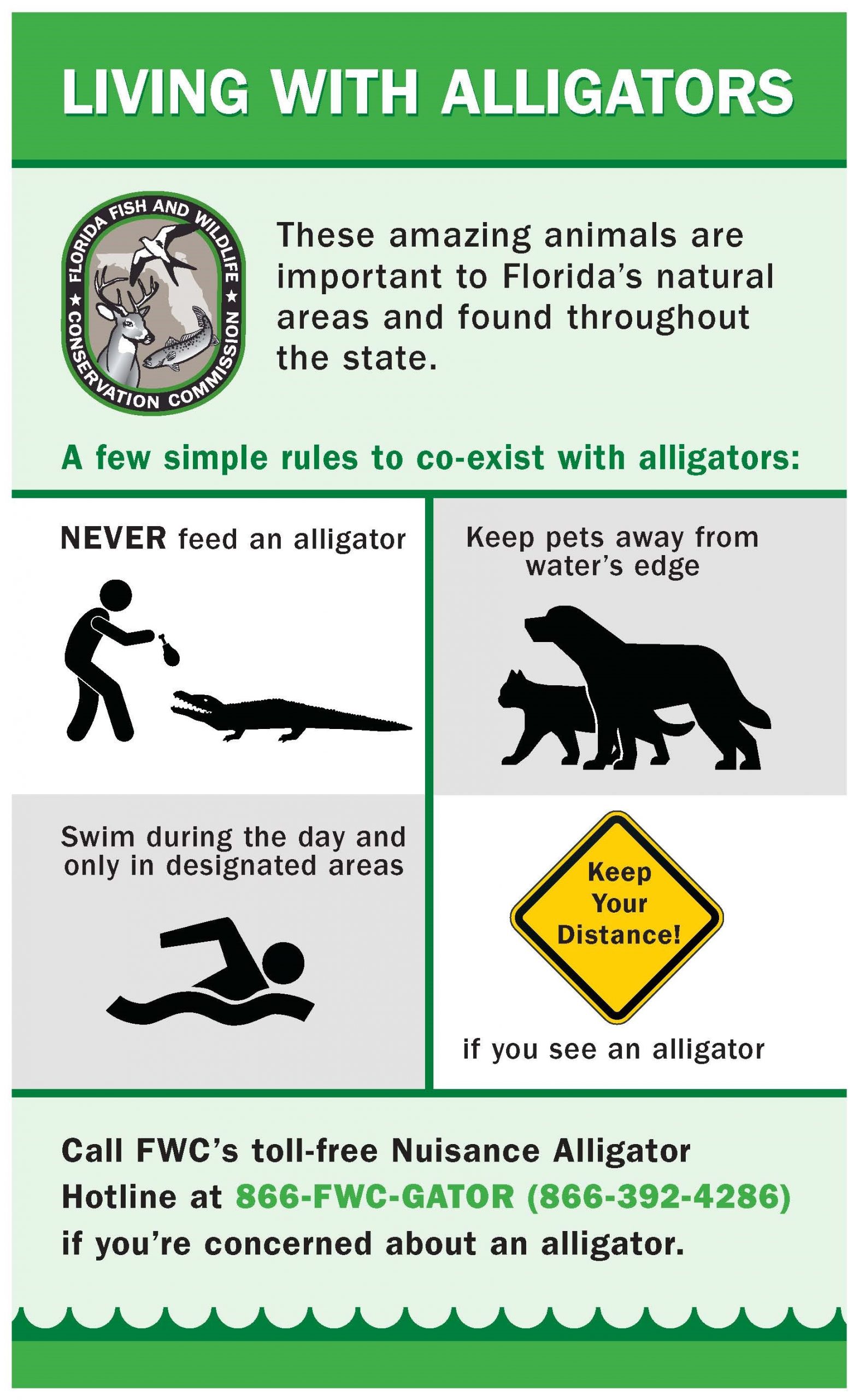 Living with Alligators