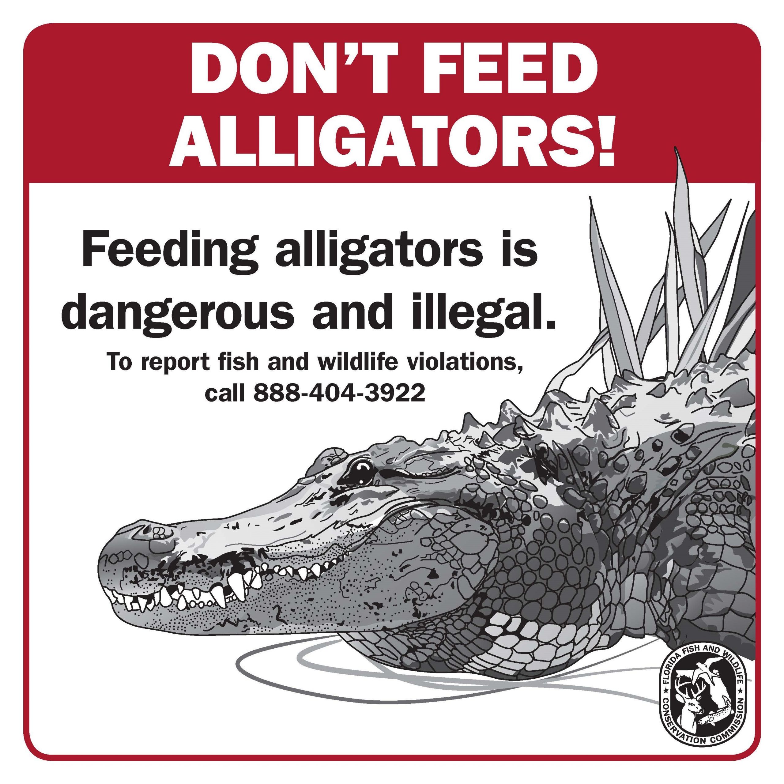 Don't Feed Alligators!