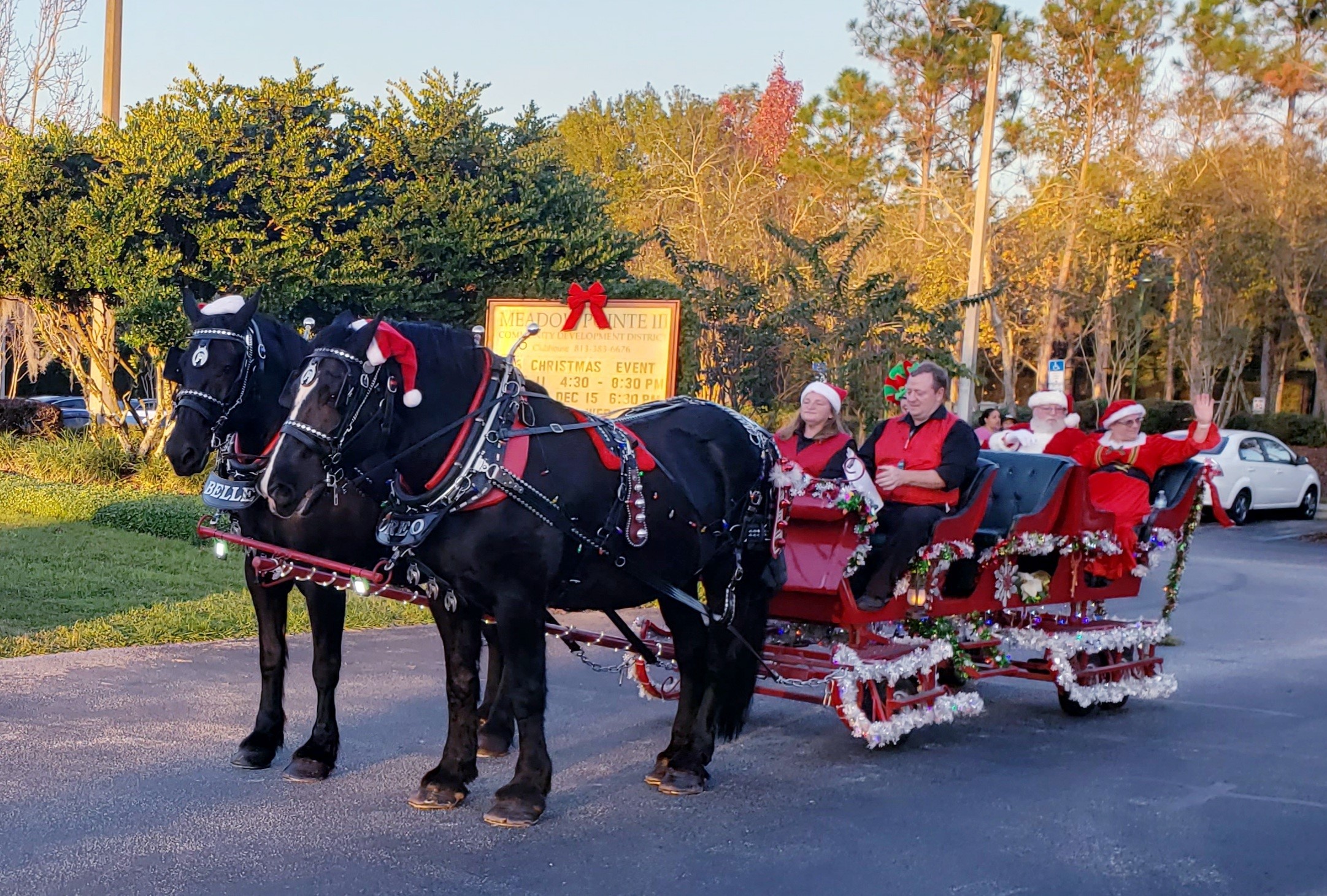 The Meadow Pointe III Christmas Event 2021 Horses and sleigh